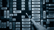 ICE DNA Collection Program