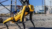 ICE Prepares $2M Deal for Boston Dynamics Robot Dogs