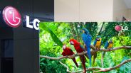 lg tv