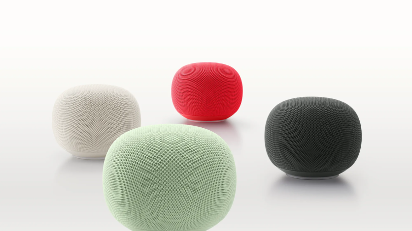 Google Home Speaker bug