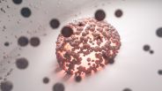 Cancer cells