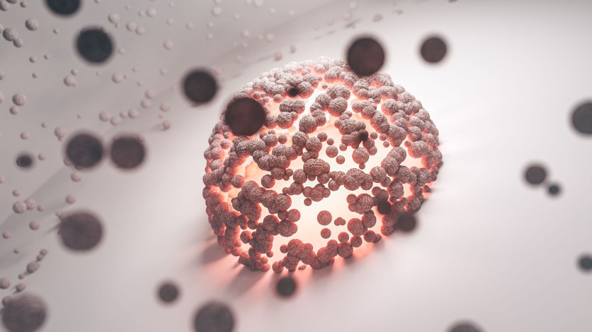 Cancer cells