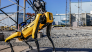 Boston Dynamics Spot robot dogs involved in ICE controversy