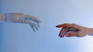 AI models' opinion of humans