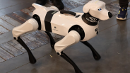 AI robot dogs undergoing human-guided outdoor training