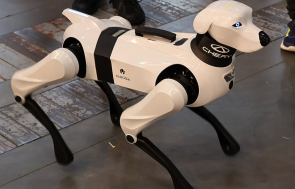 AI robot dogs undergoing human-guided outdoor training